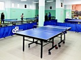 Професійні тенісні столи (1)